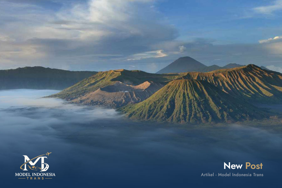 Trip-Bromo